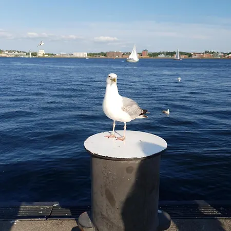 Lägenhet Exklusive In Kieler Kiel